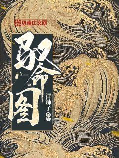 驭命图 封面