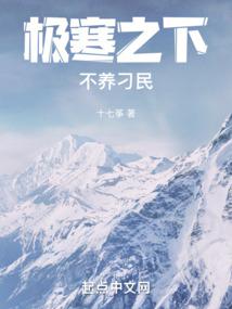 极寒之下不养刁民 封面