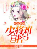 小妻多娇:少将难自控 封面