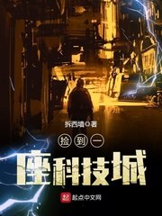 捡到一座科技城 封面