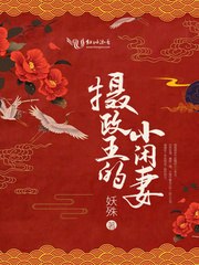 摄政王的小闲妻 封面