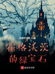 霍格沃茨的绿宝石 封面