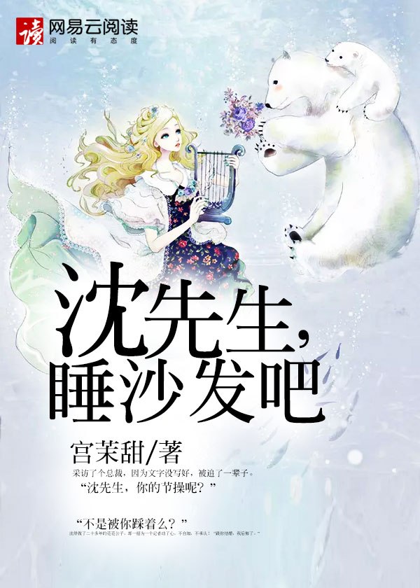 沈先生，睡沙发吧 封面