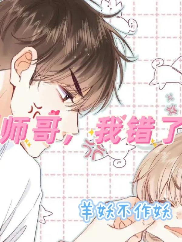 师哥，我错了 封面