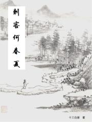 刺客何春夏 封面