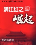 满江红之崛起 封面