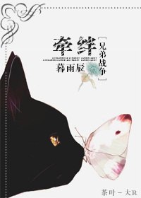 [兄弟战争]牵绊 封面