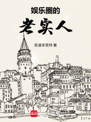 娱乐圈的老实人 封面