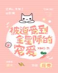 被迫受到全星际的宠爱 封面