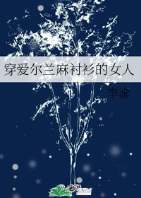 穿爱尔兰麻衬衫的女人 封面