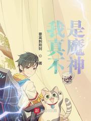 我真不是魔神 封面