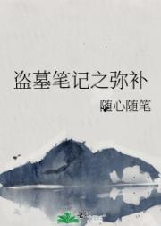 盗墓笔记之弥补 封面