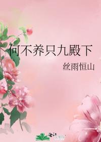 何不养只九殿下 封面
