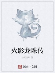 火影龙珠传 封面