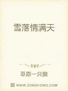 雪落情满天 封面