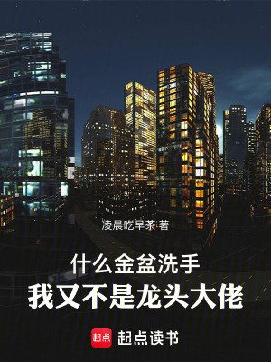 什么金盆洗手,我又不是龙头大佬 封面