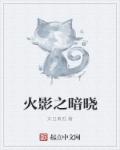 火影之暗晓 封面
