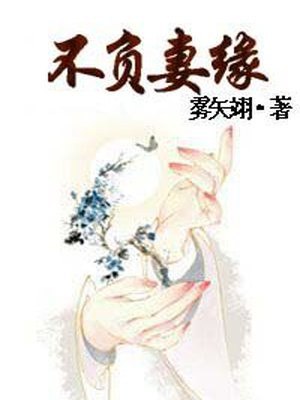 不负妻缘 封面