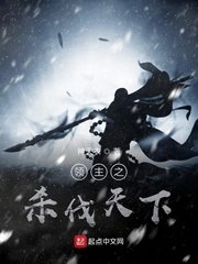 领主之杀伐天下 封面