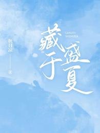 藏于盛夏 封面