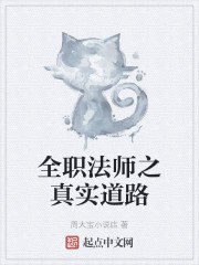 全职法师之真实道路 封面