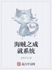 海贼之成就系统 封面