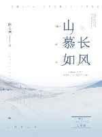 山慕如长风 封面