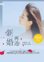 再遇新婚 封面