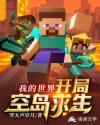 我的世界之开局空岛求生 封面
