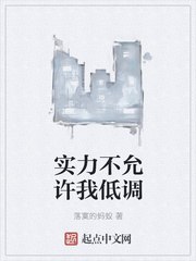 实力不允许我低调 封面