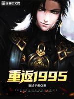重返1995 封面