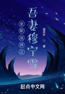 全职法师之吾妻穆宁雪 封面