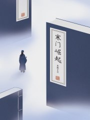 寒门崛起 封面