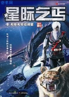 星际乞丐 封面