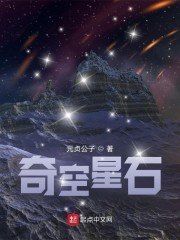 奇空星石 封面