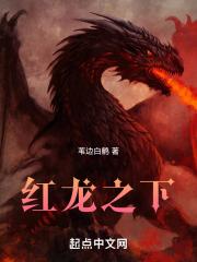 红龙之下 封面