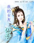 我的女友是仙子 封面