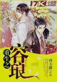 重生之容琅 封面