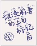 被渣前妻的上司标记后 封面