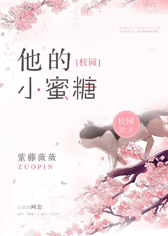 他的小蜜糖 封面