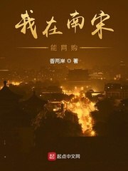 我在南宋能网购 封面