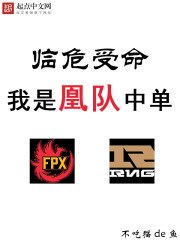 临危受命,我是凰队中单 封面