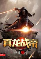 火种进化 封面