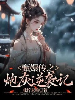 甄嬛传之炮灰逆袭记 封面
