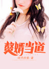 我是赘婿 封面