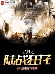 抗日之陆战狂花 封面