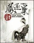 红楼之凤还巢 封面