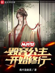 从迎娶毁容公主开始修行 封面