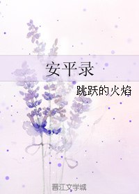 安平录 封面