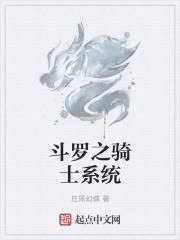 斗罗之骑士系统 封面